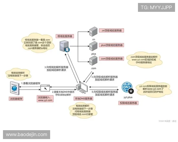 壹号网站登录成功后可以进行哪些操作，功能介绍全解析